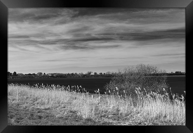 Fenland Scene - A black & white view Framed Print by Terry Pearce