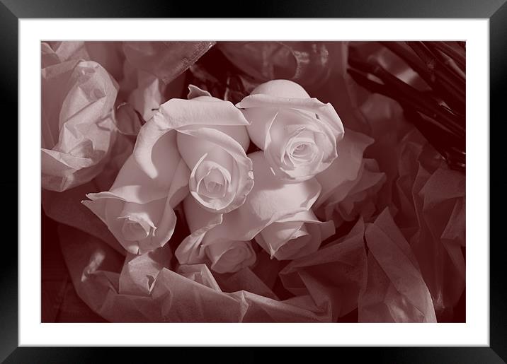 A bunch of Roses Framed Mounted Print by Terry Pearce