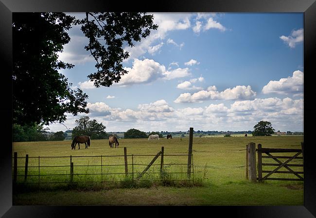 Our green and pleasant land Framed Print by Terry Pearce