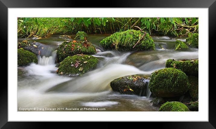 flowing mossy stream Framed Mounted Print by Craig Coleran