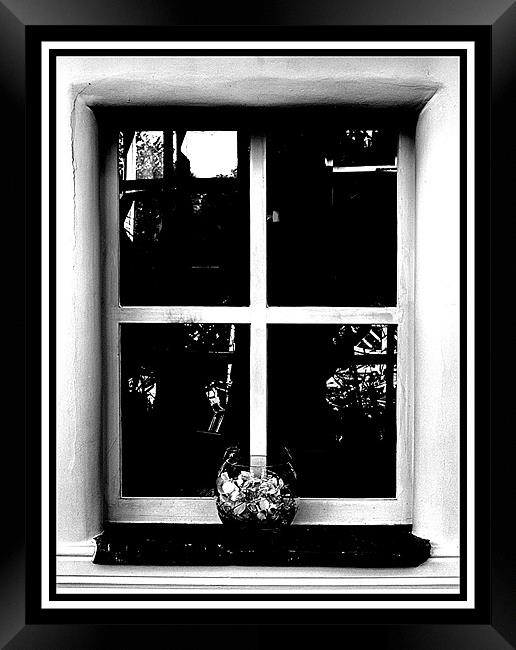 vase and frames Framed Print by Craig Coleran