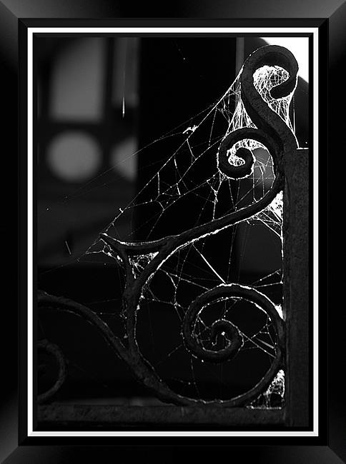 spirals and cobwebs Framed Print by Craig Coleran
