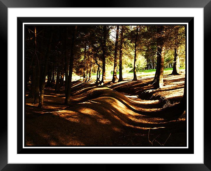 snake through the forest Framed Mounted Print by Craig Coleran