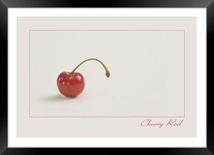 Cherry Red Framed Mounted Print by Peter Oak