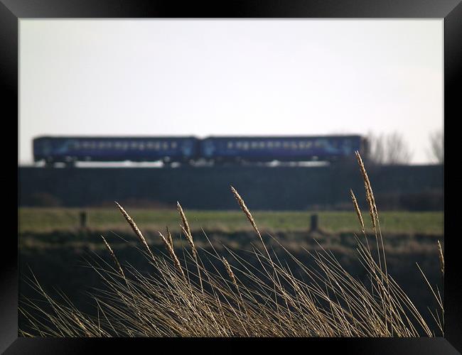 Train heading towards Hartlepool Framed Print by Callum Craddy