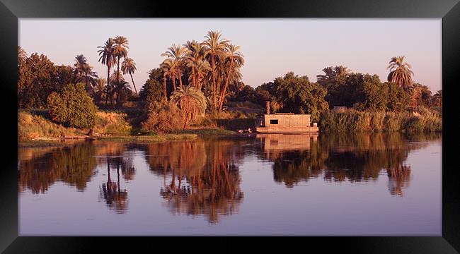 Reflections in the Nile Framed Print by CJ Barnard
