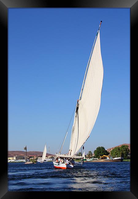 Sailing On The Nile Framed Print by CJ Barnard
