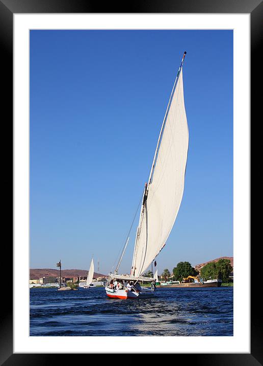 Sailing On The Nile Framed Mounted Print by CJ Barnard