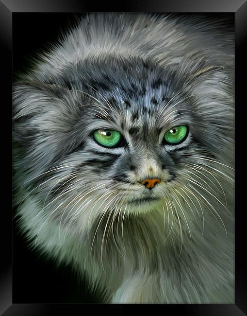 Pallas Cat Framed Print by Julie Hoddinott