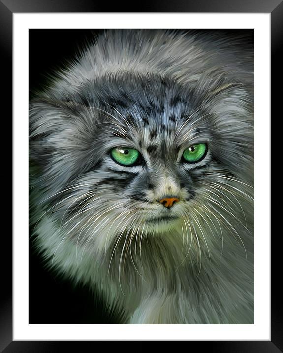 Pallas Cat Framed Mounted Print by Julie Hoddinott