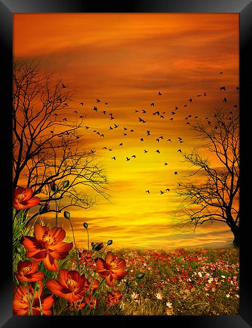 Orange Meadow Framed Print by Julie Hoddinott