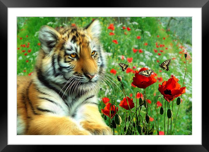 Tiger Butterflies Framed Mounted Print by Julie Hoddinott