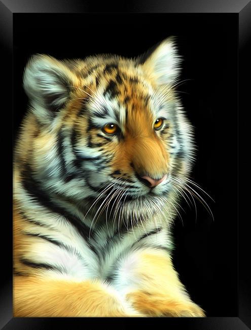 Tiger Cub Framed Print by Julie Hoddinott
