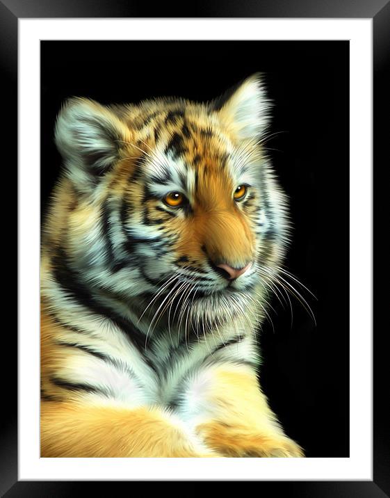 Tiger Cub Framed Mounted Print by Julie Hoddinott