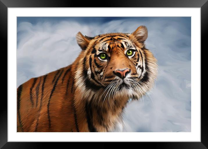 Sumatran Tiger on Blue Framed Mounted Print by Julie Hoddinott