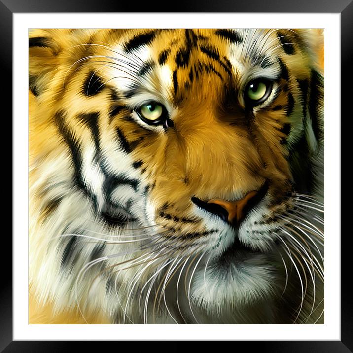 Sumatran Tiger Close Up Framed Mounted Print by Julie Hoddinott