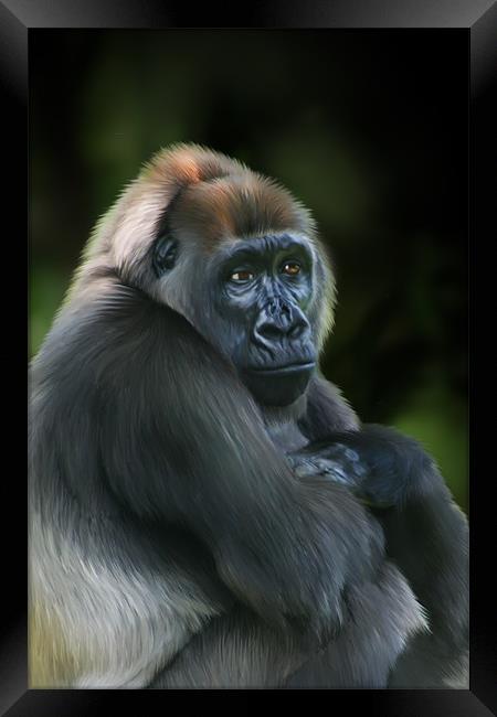 Nyango Cross River Gorilla Framed Print by Julie Hoddinott