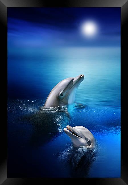 Dolphin Delight Framed Print by Julie Hoddinott