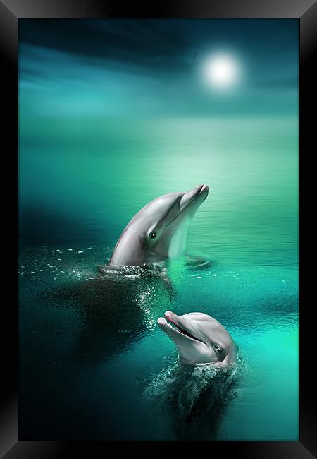 Delightful Dolphins Framed Print by Julie Hoddinott