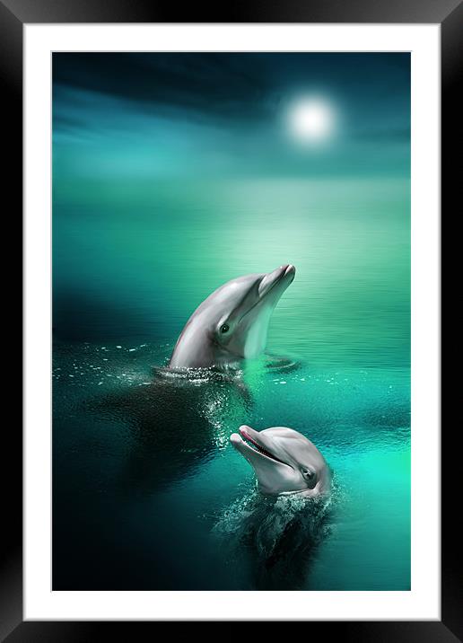 Delightful Dolphins Framed Mounted Print by Julie Hoddinott