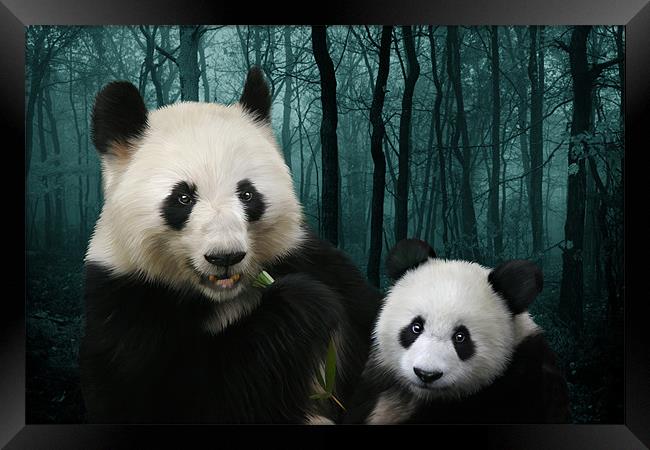 Woodland Giant Pandas Framed Print by Julie Hoddinott