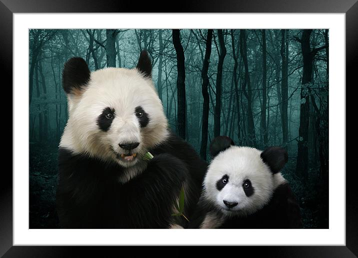 Woodland Giant Pandas Framed Mounted Print by Julie Hoddinott