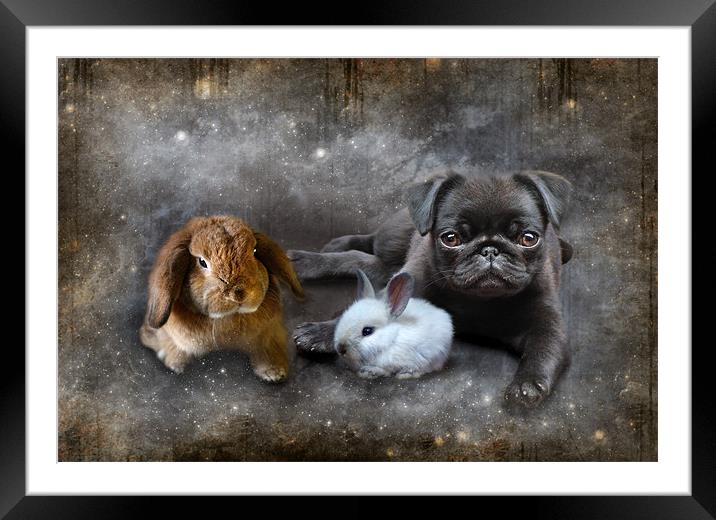Penelope, Prudance and the Pug Framed Mounted Print by Julie Hoddinott
