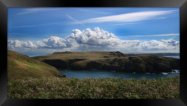 View Over Skomer Framed Print by Julie Hoddinott