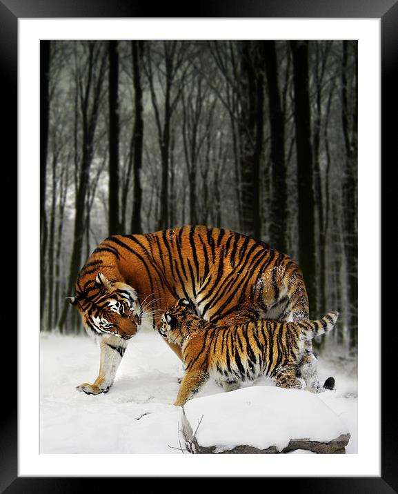 A Winter Stroll Framed Mounted Print by Julie Hoddinott