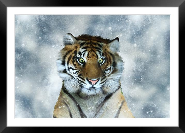 A Couple of Sandwiches Short of a Picnic - Tiger Framed Mounted Print by Julie Hoddinott