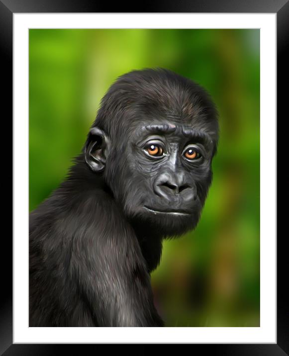 Little Baby Gorilla Framed Mounted Print by Julie Hoddinott