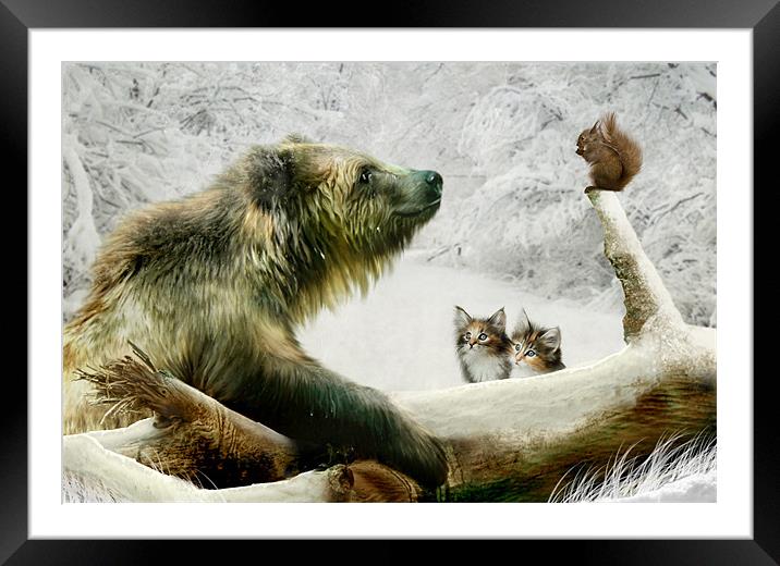 Banyan, Bobby and the Boys Bear canvas print Framed Mounted Print by Julie Hoddinott