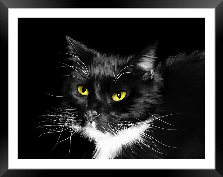 Sox - Domestic Black and White Cat Framed Mounted Print by Julie Hoddinott