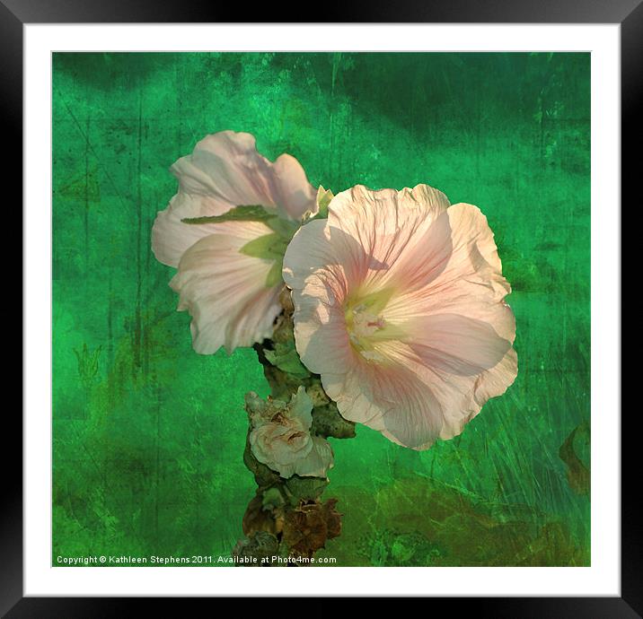 Hollyhocks Framed Mounted Print by Kathleen Stephens