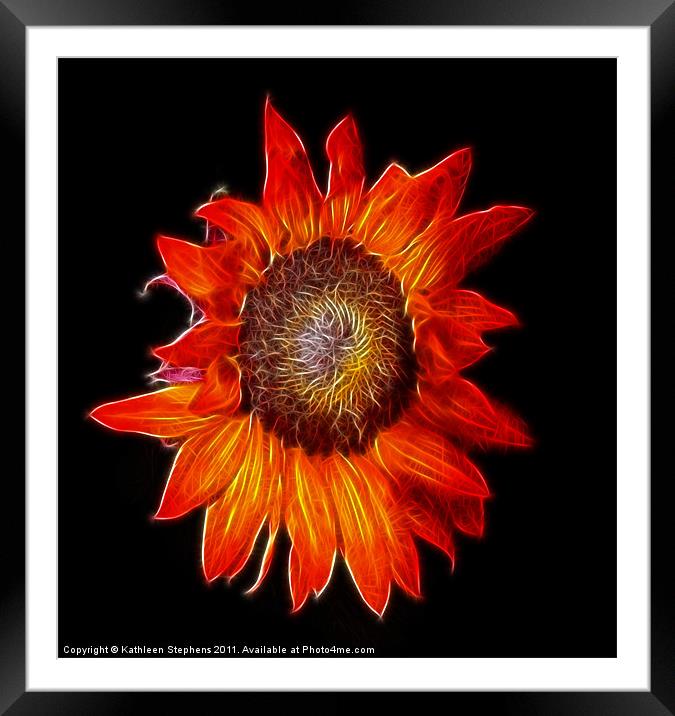 Sunflower Fractal Framed Mounted Print by Kathleen Stephens