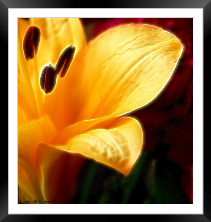 Golden Lily Petals Framed Mounted Print by Kathleen Stephens