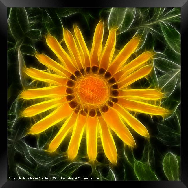 Sunny and Bright Framed Print by Kathleen Stephens