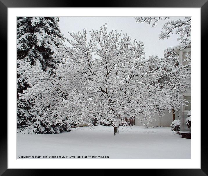 Winter Tree Framed Mounted Print by Kathleen Stephens