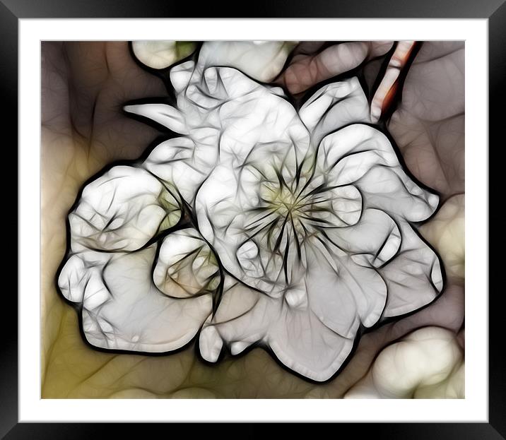Spring Blossoms Framed Mounted Print by Kathleen Stephens
