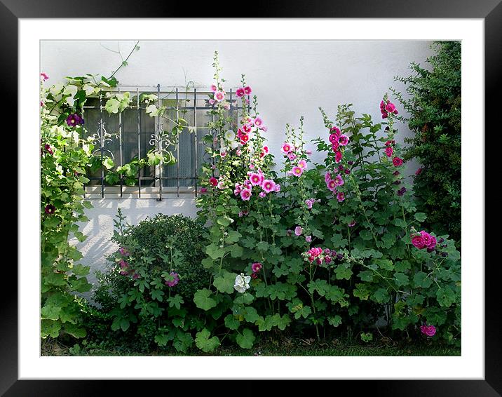 The Window Garden Framed Mounted Print by Kathleen Stephens