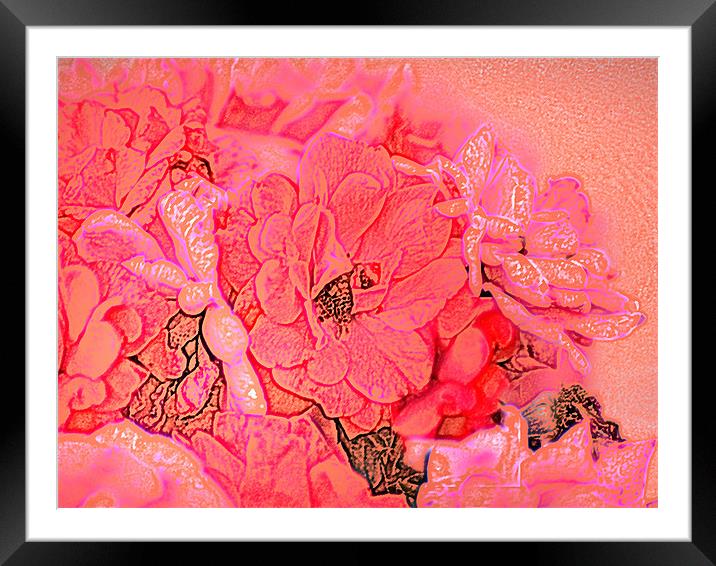 Rose Bouquet Framed Mounted Print by Kathleen Stephens