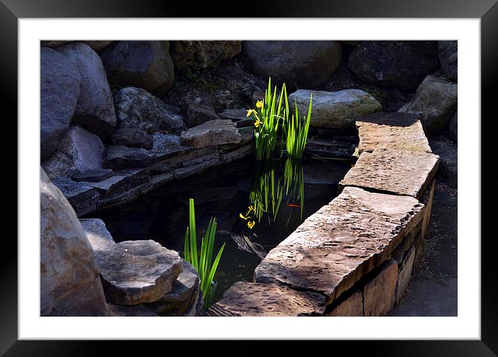  Pond Reflections Framed Mounted Print by Kathleen Stephens