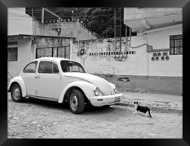 A Beetle and a cat in Mexico Framed Print by Kate Barley