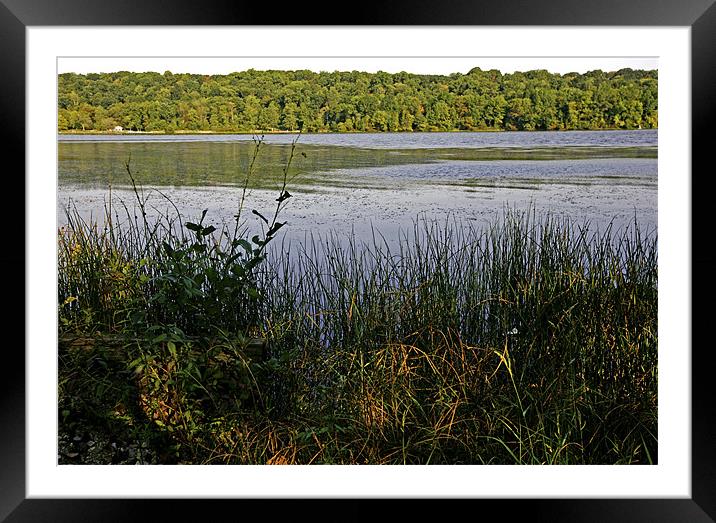 Peaceful Waters Framed Mounted Print by John Holloway