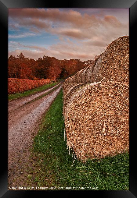 Hay Stacks Framed Print by Keith Thorburn EFIAP/b