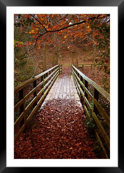 Woodland Bridge Autumn Framed Mounted Print by Keith Thorburn EFIAP/b