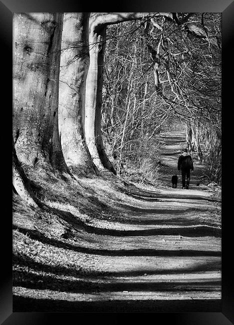 Walk in the Shadows Framed Print by Keith Thorburn EFIAP/b