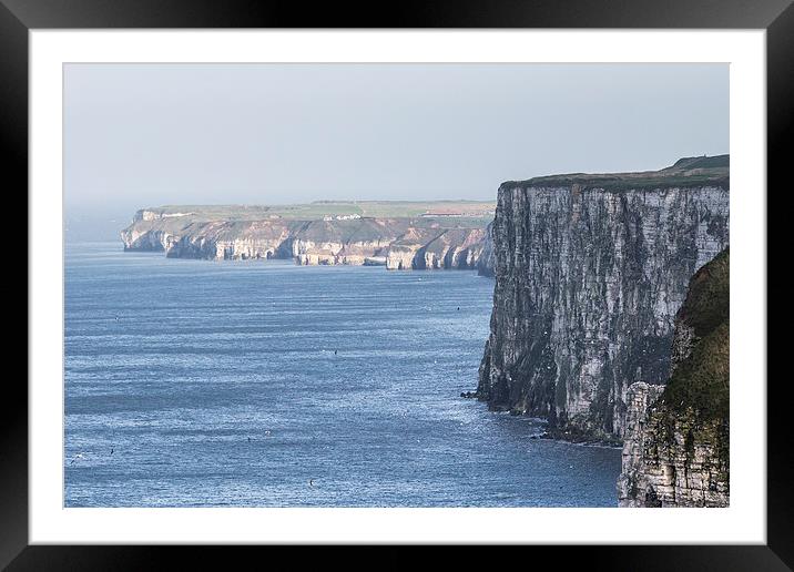 Bempton Cliffs Framed Mounted Print by Keith Thorburn EFIAP/b