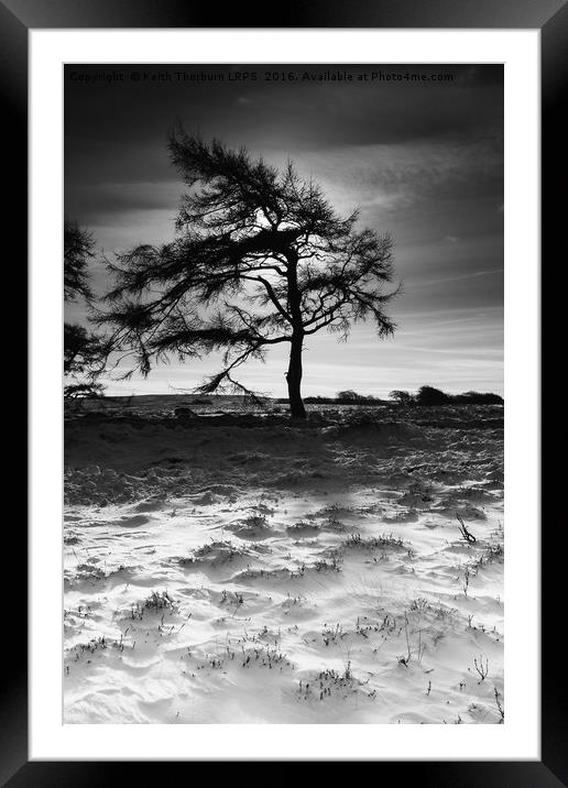 Lammermuir Hills Winter Scenes Framed Mounted Print by Keith Thorburn EFIAP/b