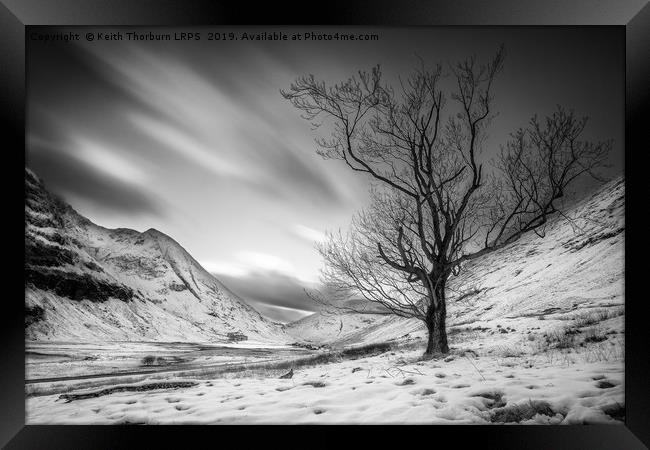 Loch Achtriochtan Tree Framed Print by Keith Thorburn EFIAP/b